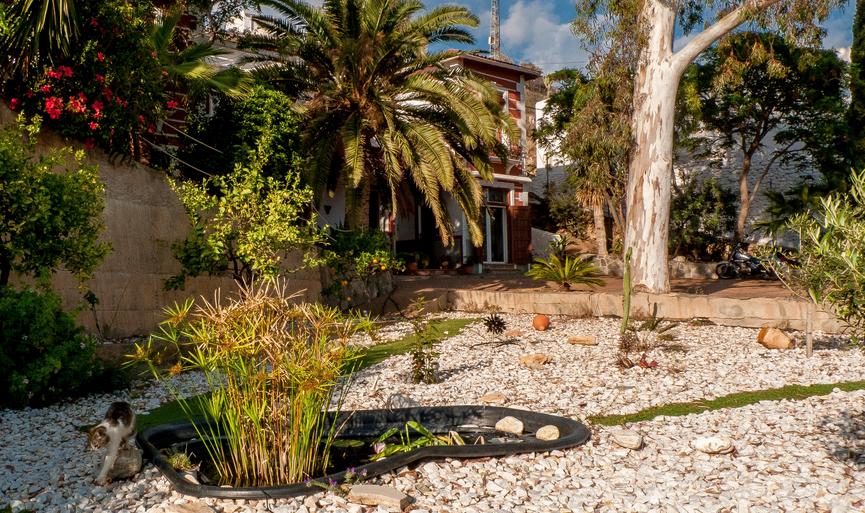 Imagen del cortijo